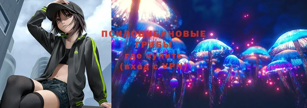 хмурый Алексеевка