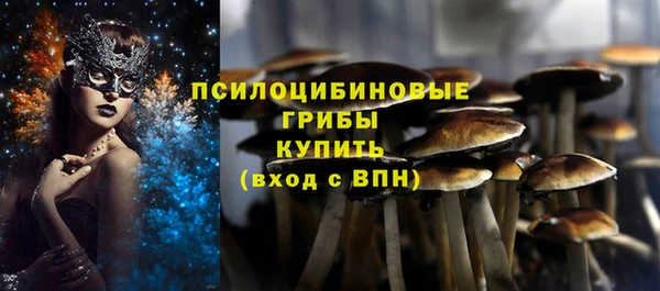 хмурый Алексеевка